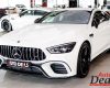 2018 Mercedes-Benz AMG GT Roadster First Drive